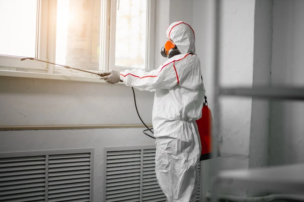 Professional mold remediation services in Suncook, NH